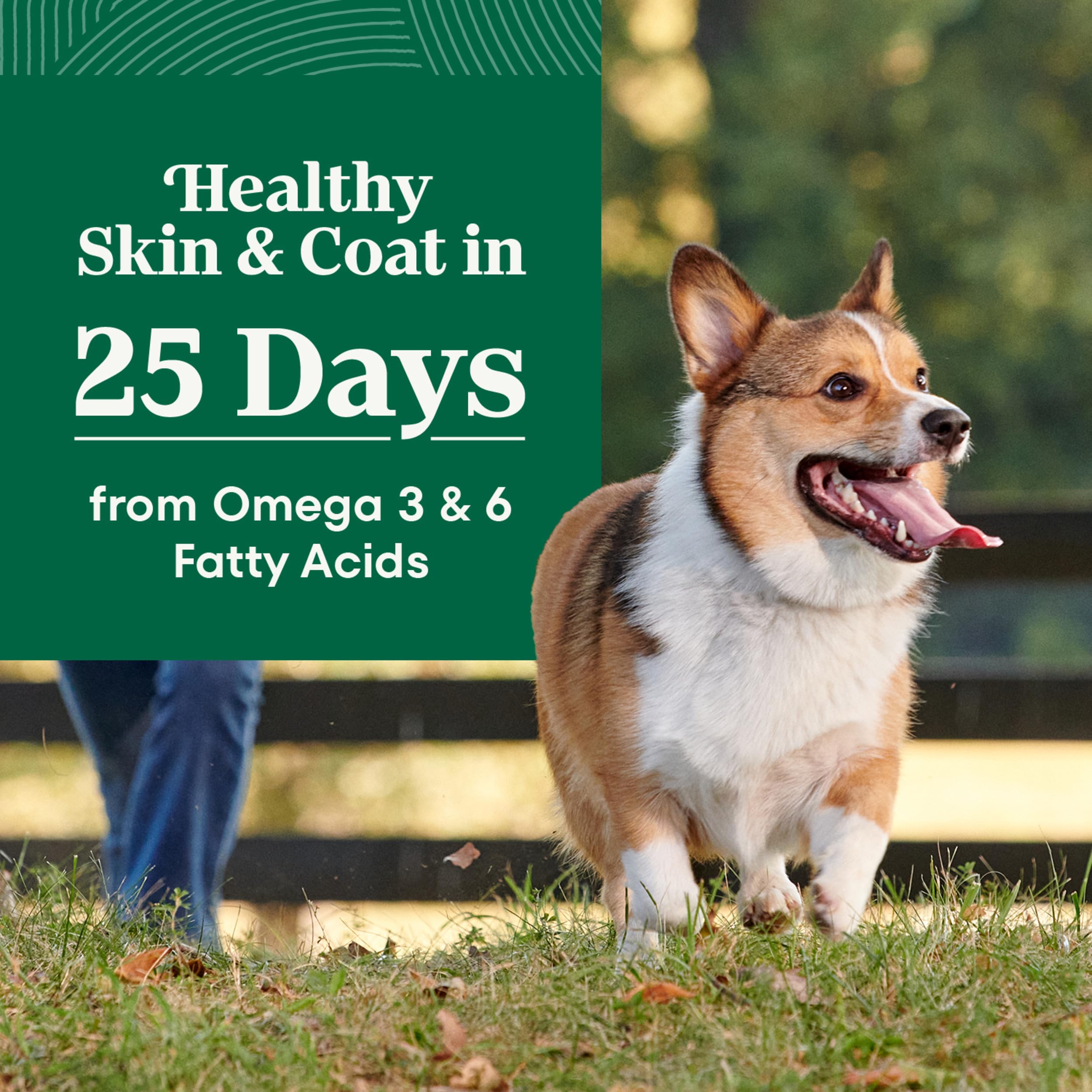Nutro Natural Choice Adult Dry Dog Food, Lamb Flavour, 2.27kg 🍁 All In One Marketplace Canada