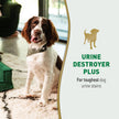 Nature’s Miracle Urine Destroyer Plus Dog, 32 Ounces, Enzymatic Formula, Ready-to-Use 🍁 All In One Marketplace Canada