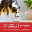 Purina ONE Dry Dog Food, Microbiome Balance Lamb & Rice - 14 kg Bag (1 Pack) 🍁 All In One Marketplace Canada