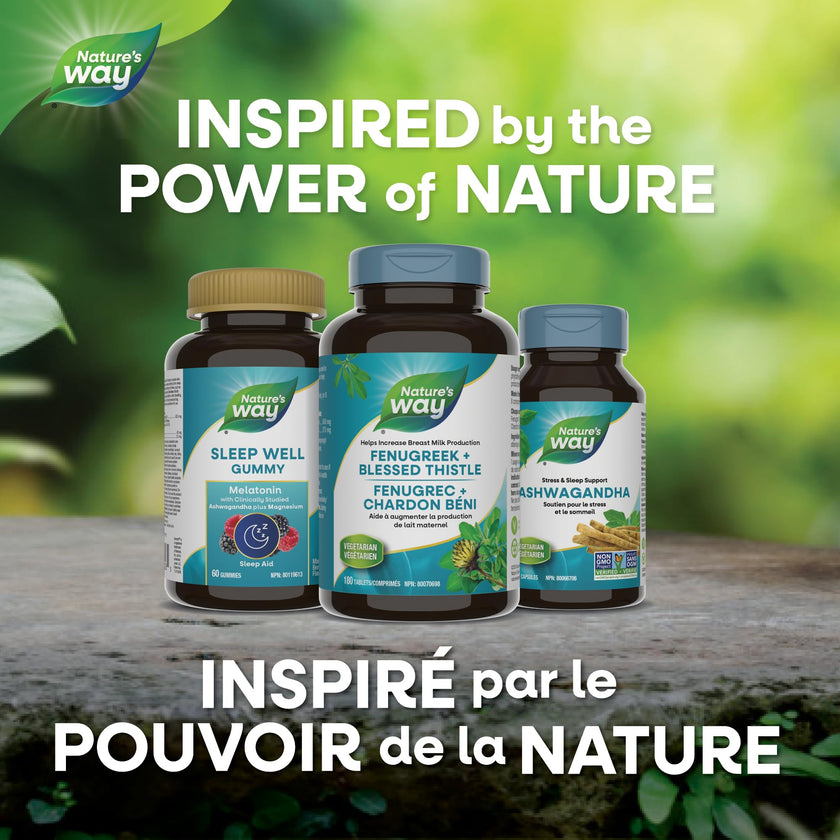 Nature's Way Fenugreek + Blessed Thistle – Herbal Supplement for Digestion & to Promote Lactation – 450mg Fenugreek & 375mg Blessed Thistle for Breastfeeding Support – 180 Vegetarian Tablets 🍁 All In One Marketplace Canada