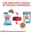 Royal Canin Size Health Nutrition Medium Puppy Dry Dog Food, 4 lb 🍁 All In One Marketplace Canada