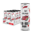 CELSIUS Sparkling Cosmic Vibe, Zero Sugar Energy Drink, 355ml (Pack of 12) 🍁 All In One Marketplace Canada