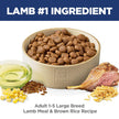 Hill's Science Diet Adult Large Breed Lamb Meal & Brown Rice Recipe Dry Dog Food 14.9 kg Bag 🍁 All In One Marketplace Canada