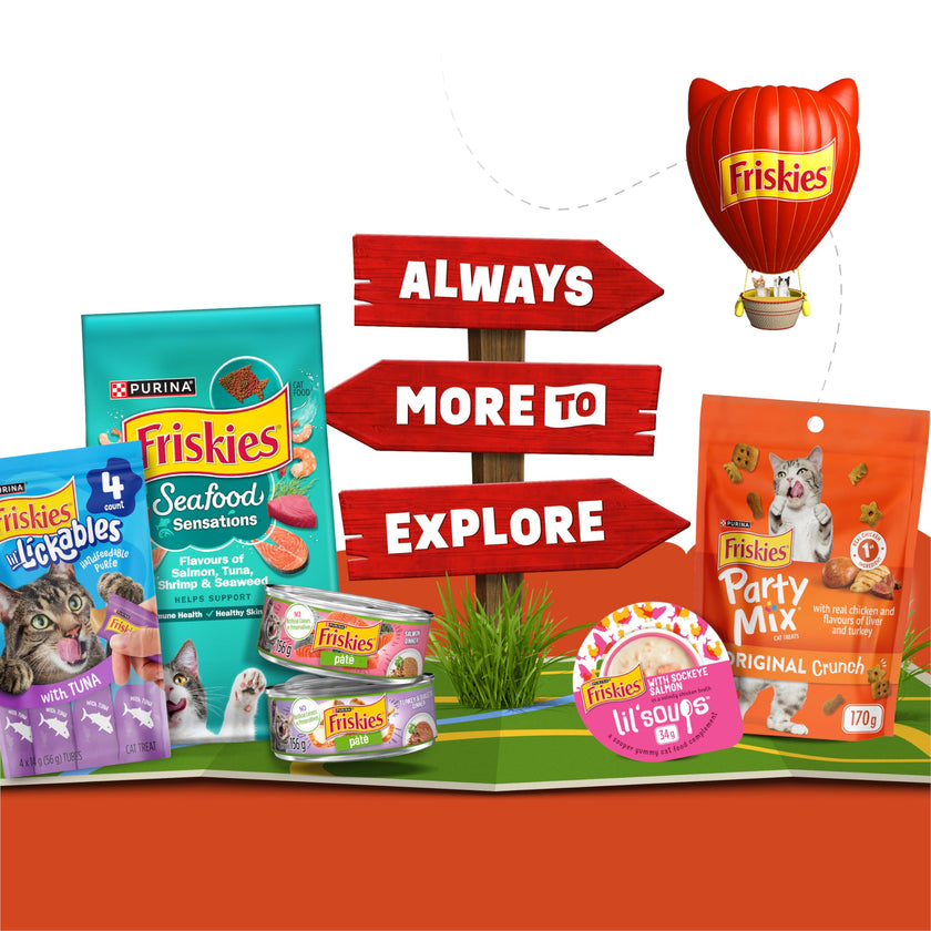 Friskies Lil' Soups Cat Treats, Greatest Hits Cups 34g (18 Pack x 2) 🍁 All In One Marketplace Canada