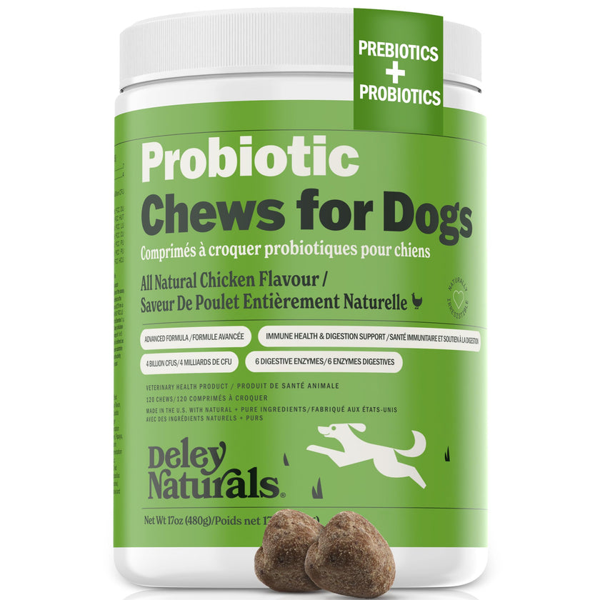 Deley Naturals Probiotics for Dogs - Dog Probiotics Chewable with 6 Digestive Enzymes & 4 Billion CFUs - Probiotic Chews for Dogs Gut Health Diarrhea & Digestion - Digestive Balance Dog Supplements 🍁 All In One Marketplace Canada