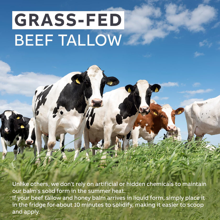 Beef Tallow and Honey Balm for Skin: Whipped Grass Fed Beef Tallow Balm Moisturizer with Raw Honey and Olive Oil for Face and Body - Natural Cow Fat Cream Unscented 🍁 All In One Marketplace Canada