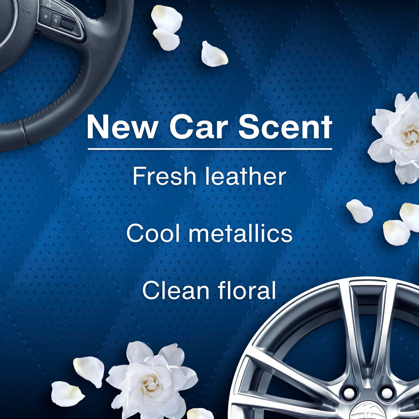 LITTLE Air Fresheners Car Air Freshener. Hanging Tree Provides Long Lasting Scent for Auto or Home. New Car Scent, 24 Air Fresheners 🍁 All In One Marketplace Canada