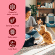 Fresh Step Clumping Cat Litter with Febreze Gain Scent, Long Lasting Odor Control Kitty Litter with Activated Charcoal, Low Dust Formula, 14 lb 🍁 All In One Marketplace Canada