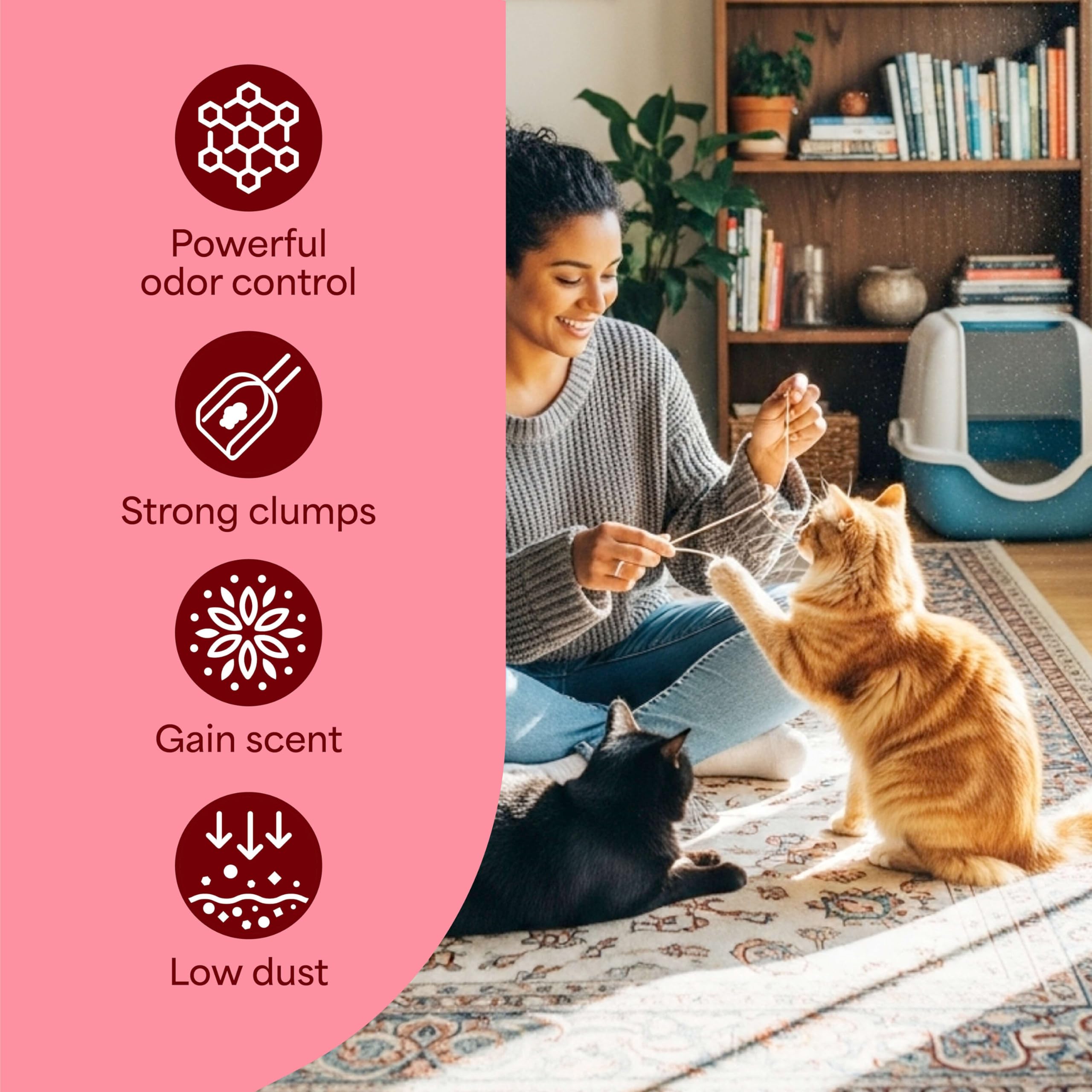 Fresh Step Clumping Cat Litter with Febreze Gain Scent, Long Lasting Odor Control Kitty Litter with Activated Charcoal, Low Dust Formula, 14 lb 🍁 All In One Marketplace Canada