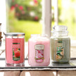 Yankee Candle Scented Candle, Sage & Citrus, Original Large Jar Candle, 110-150 Hours of Burn Time, 22 oz. 🍁 All In One Marketplace Canada