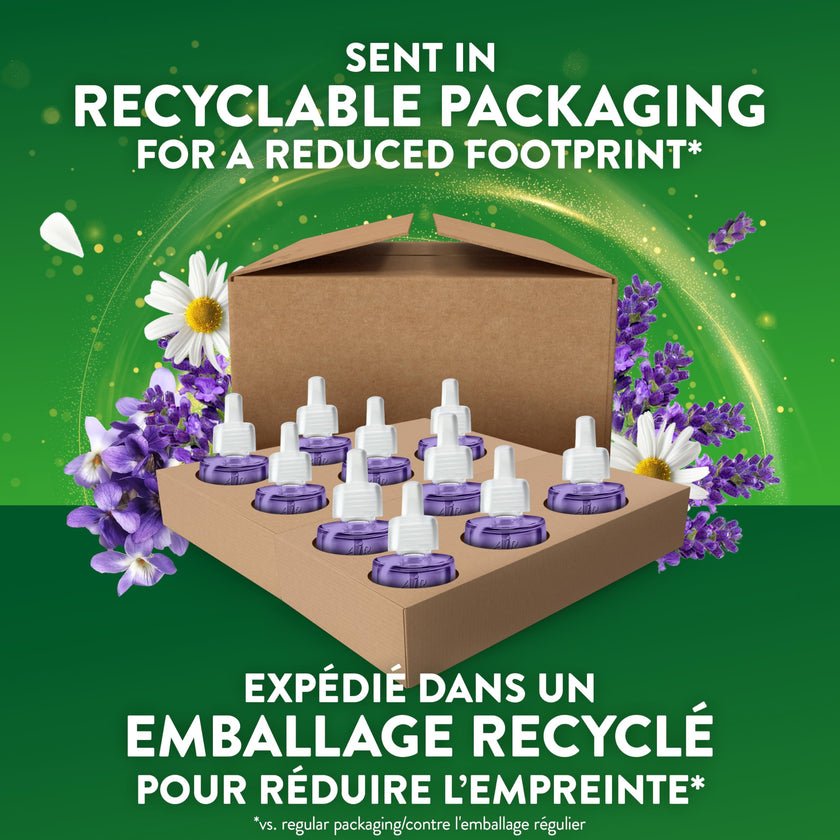 Air Wick Plug in Scented Oil Refills, Lavender and Chamomile, Eco Friendly, Essential Oils, Air Freshener, 0.67 Fl Oz (Pack of 10) 🍁 All In One Marketplace Canada