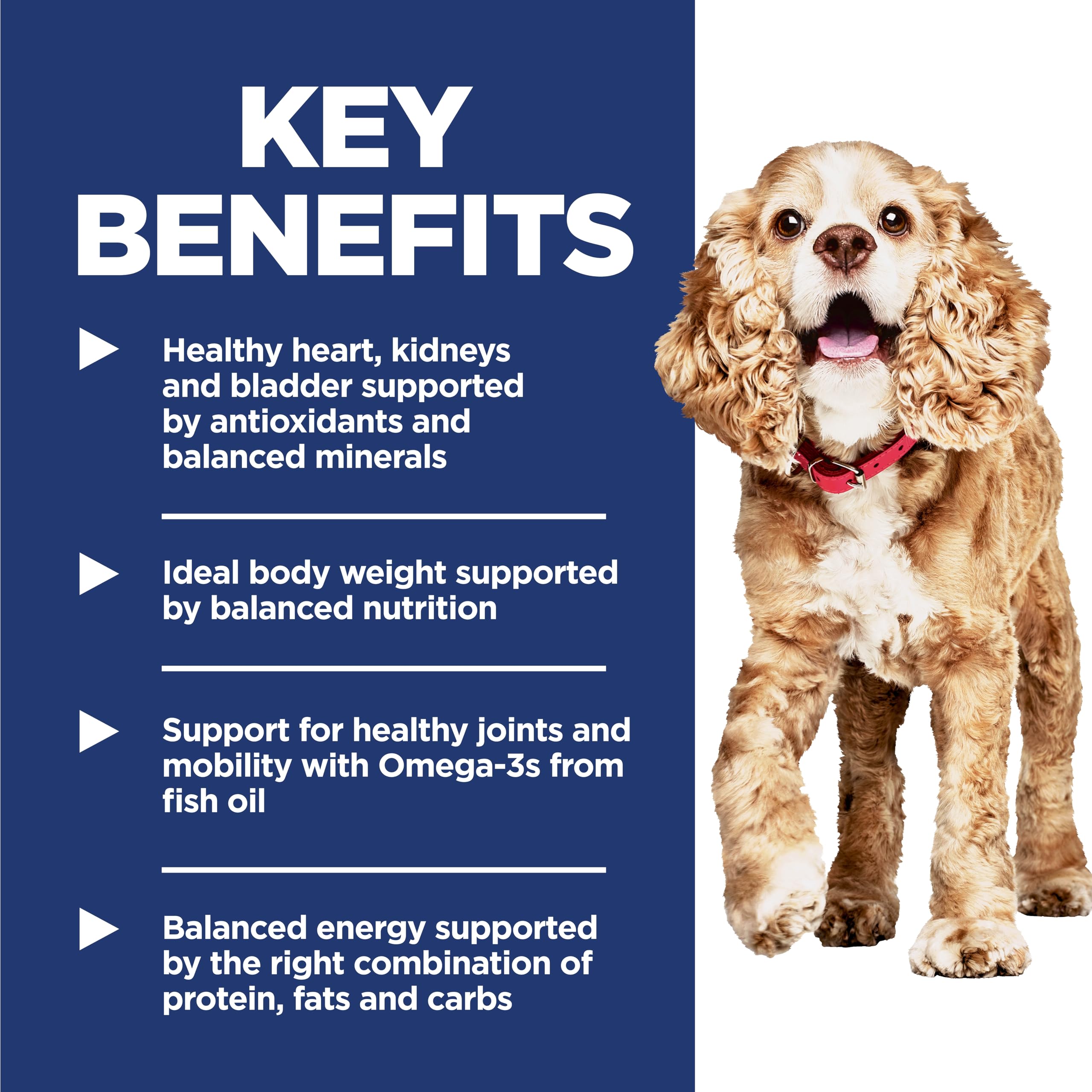 Hill's Science Diet Senior 11+ Small & Mini Chicken Meal, Barley & Brown Rice Recipe Dry Dog Food 2.04 kg Bag 🍁 All In One Marketplace Canada