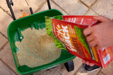Scotts Turf Builder Quick + Thick Tough & Resilient Grass Seed Mix, 1.2kg (167 sq Meters / 1,805 sq feet Coverage) | Resilient Mix for Active Yards, Pets & Pests 🍁 All In One Marketplace Canada