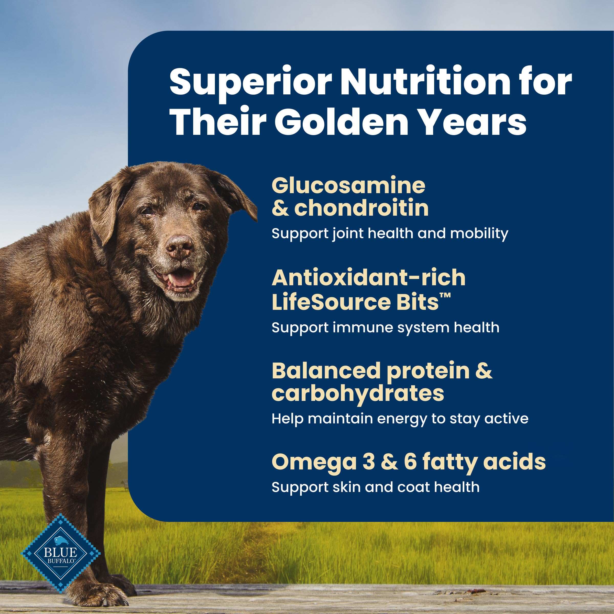 Blue Buffalo Life Protection Formula Chicken & Brown Rice Senior Dry Dog Food, Supports Immunity with Antioxidant-Rich LifeSource Bits, Promotes Healthy Muscle Development, Skin & Coat, 11.7kg/26lbs 🍁 All In One Marketplace Canada
