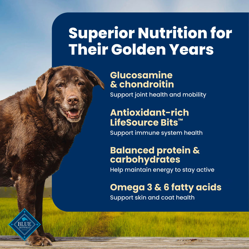Blue Buffalo Life Protection Formula Chicken & Brown Rice Senior Dry Dog Food, Supports Immunity with Antioxidant-Rich LifeSource Bits, Promotes Healthy Muscle Development, Skin & Coat, 11.7kg/26lbs 🍁 All In One Marketplace Canada