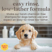 Burt's Bees for Puppies Natural Tearless 2 in 1 Shampoo and Conditioner | Made with Buttermilk and Linseed Oil | Best Tearless Puppy Shampoo for Gentle Skin and Coat | Made in USA, 16 Oz 🍁 All In One Marketplace Canada