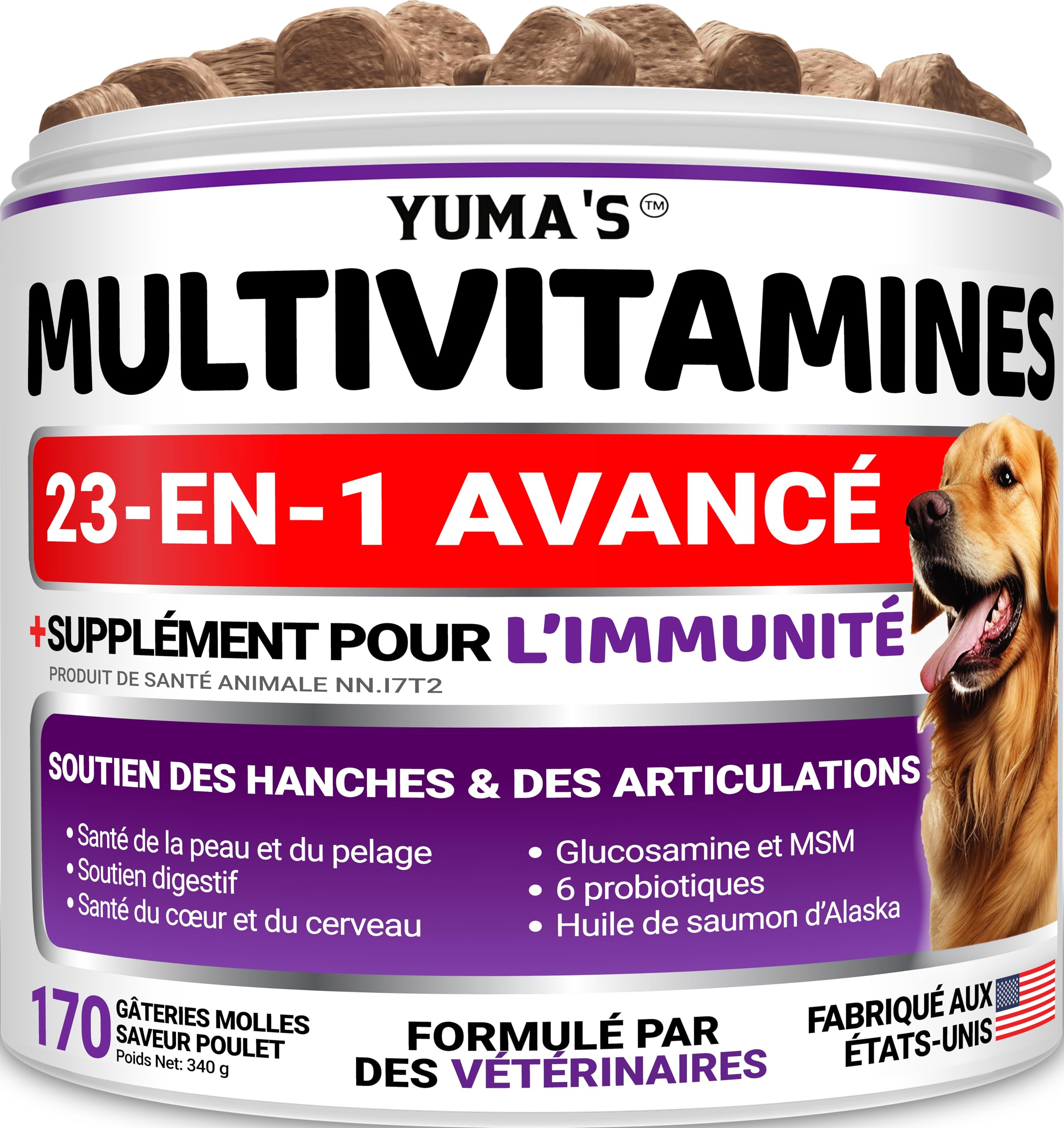 Dog Multivitamin Chewable with Glucosamine - 170 Chews - Dog Vitamins and Supplements 23 in 1 - Senior & Puppy Multivitamin for Dogs - Hip & Joint Support - Immune Health, Skin, Digestion 🍁 All In One Marketplace Canada