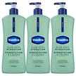 Vaseline Intensive Care Aloe Vera Hydration Body Lotion for Dry Skin with 48H Moisture + Ultra hydrating lipids, 600 ml (3-pack) 🍁 All In One Marketplace Canada