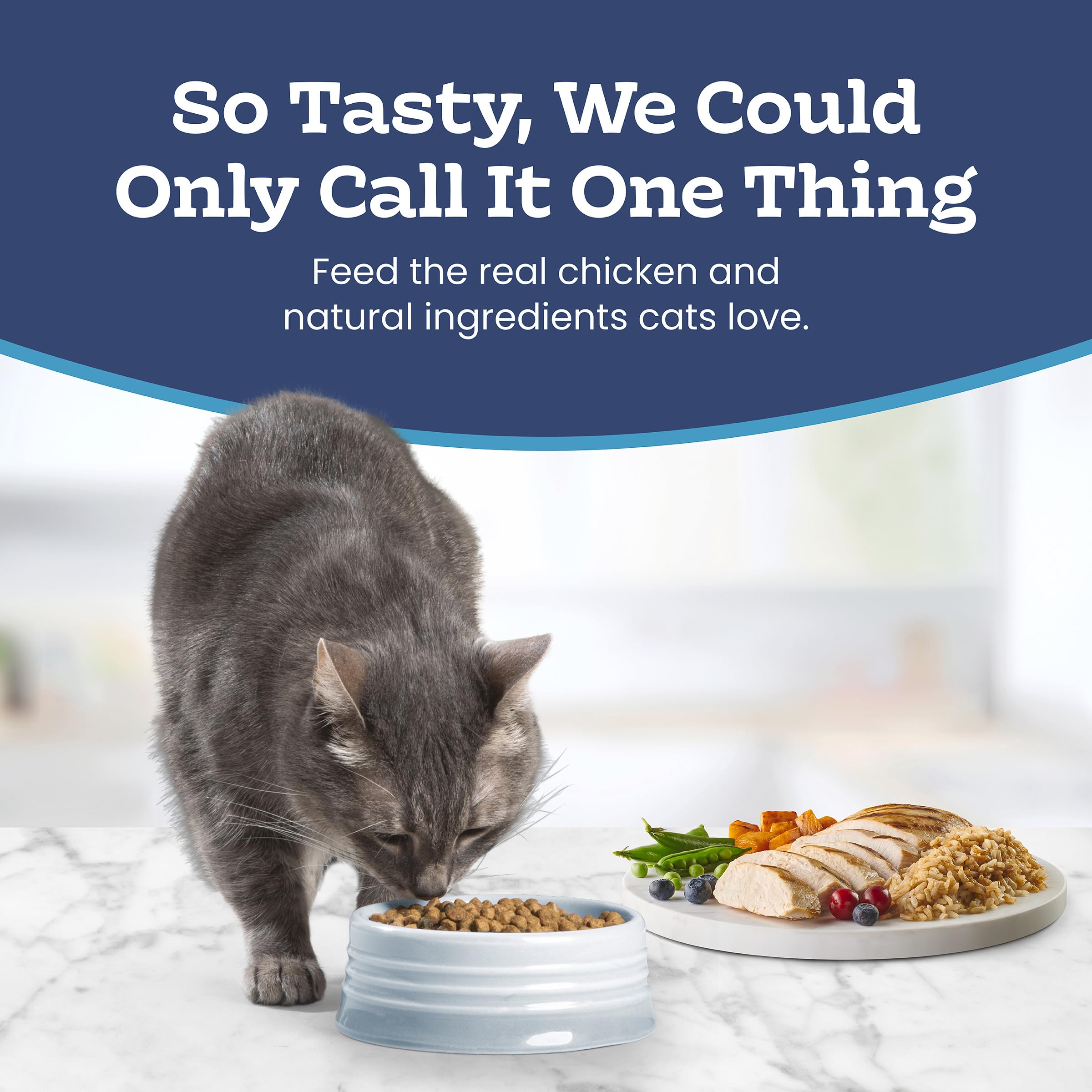 Blue Buffalo Tastefuls Chicken & Brown Rice Recipe Sensitive Stomach Adult Dry Cat Food, Real Chicken First, Deliciously Healthy Natural Cat Food, Natural Ingredients, Supports Digestion, 6.8kg Bag 🍁 All In One Marketplace Canada