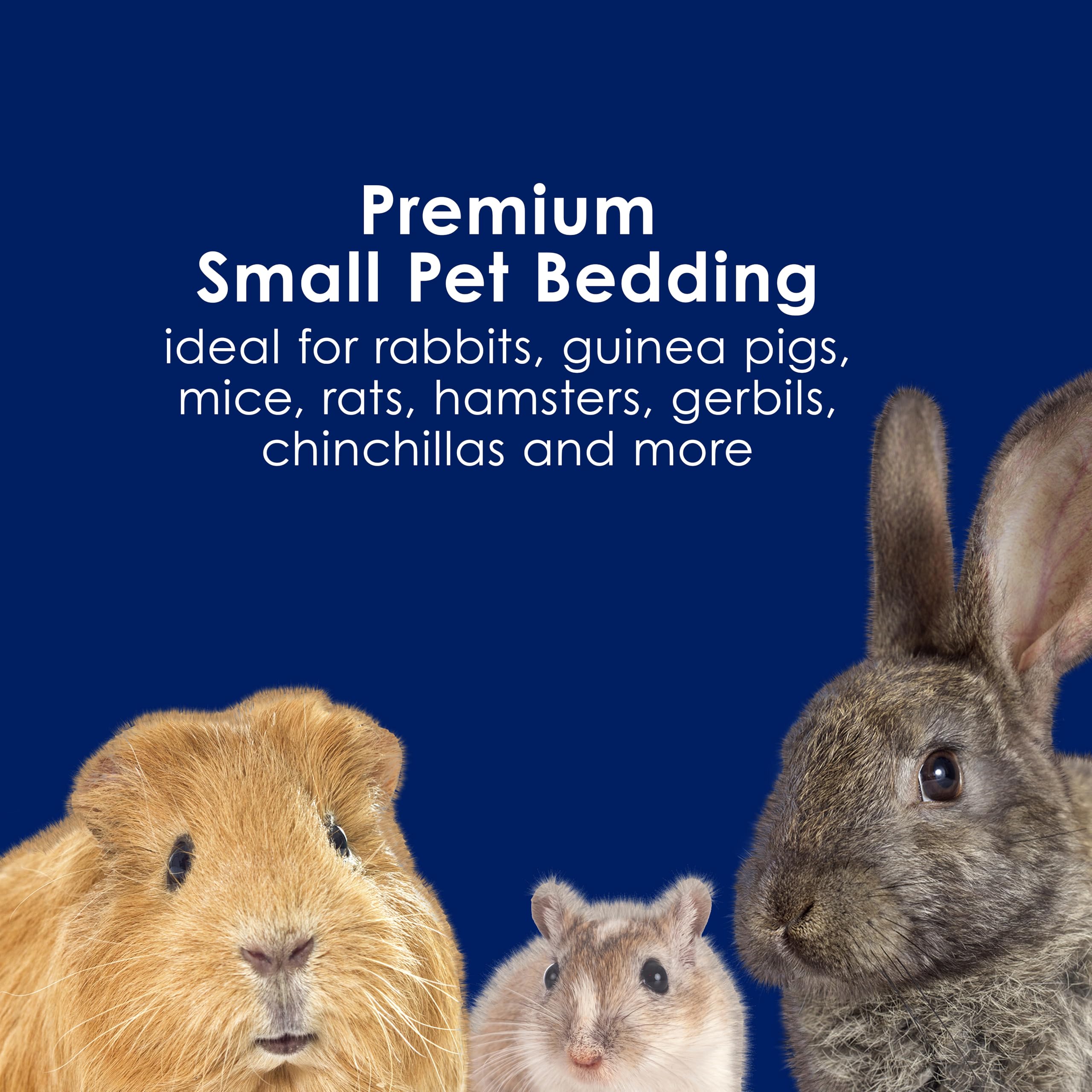 Kaytee Extreme Odor Control Bedding for Pet Guinea Pigs, Rabbits, Hamsters, Gerbils, and Chinchillas, 40 Liter 🍁 All In One Marketplace Canada