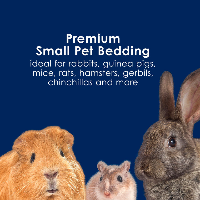 Kaytee Extreme Odor Control Bedding for Pet Guinea Pigs, Rabbits, Hamsters, Gerbils, and Chinchillas, 40 Liter 🍁 All In One Marketplace Canada