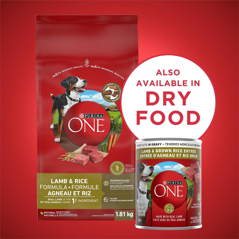 Purina ONE Wet Dog Food, Tender Cuts in Gravy Lamb & Rice 368g (12 Pack) 🍁 All In One Marketplace Canada