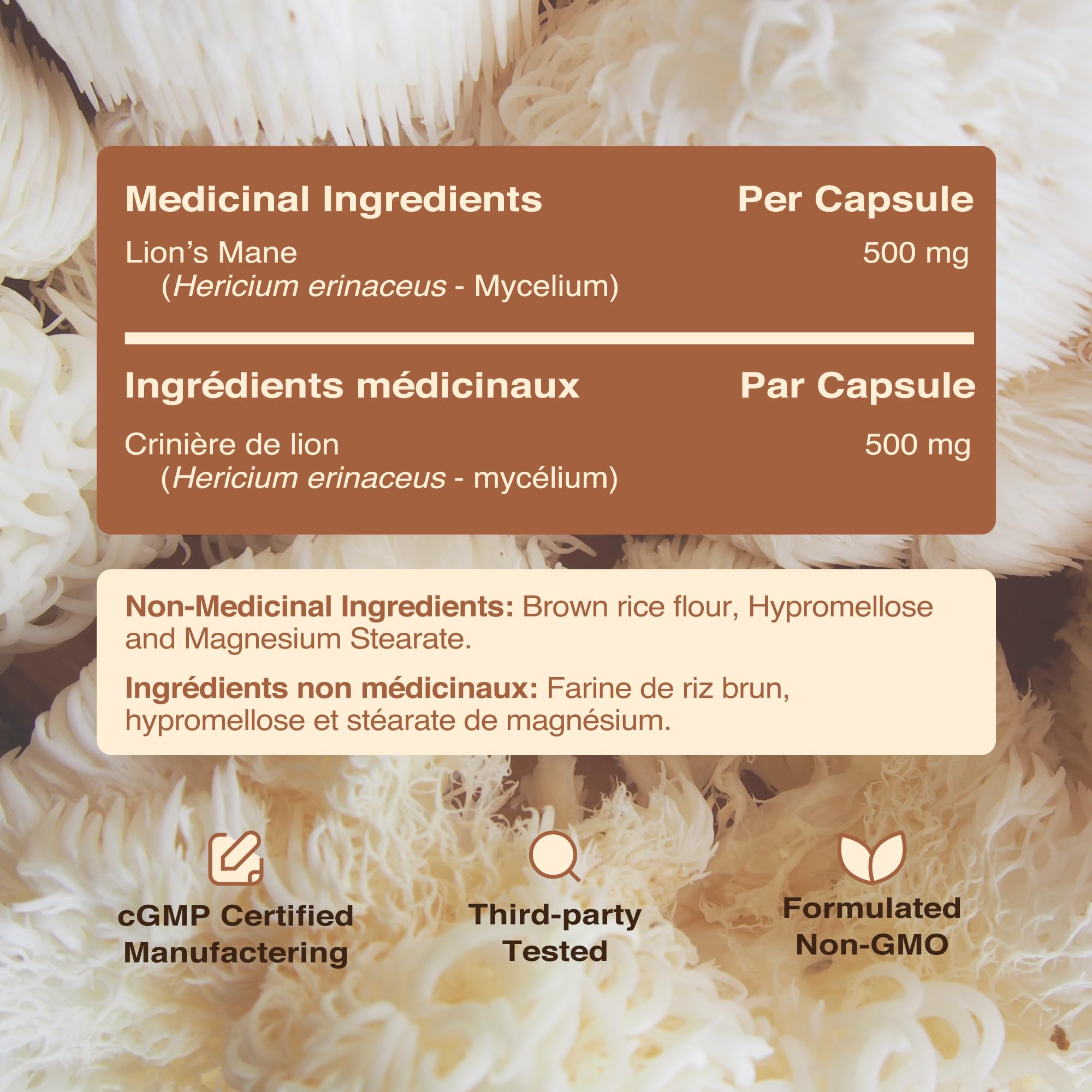 Lion’s Mane Supplement & Nootropic for Mental Clarity | 4 Month Supply | Performance & Memory Support | Antioxidant Rich & Immunomodulating Mushroom | Extra Strength Lions Mane 500mg | Non-GMO 120ct 🍁 All In One Marketplace Canada