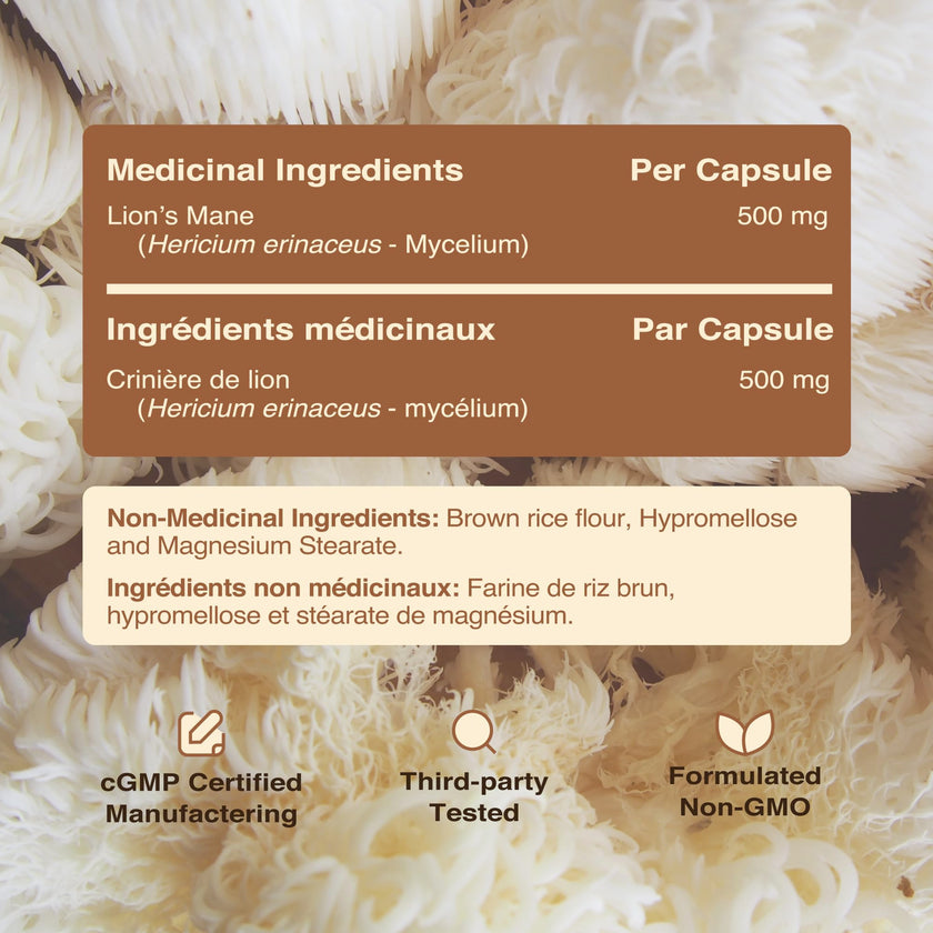 Lion’s Mane Supplement & Nootropic for Mental Clarity | 4 Month Supply | Performance & Memory Support | Antioxidant Rich & Immunomodulating Mushroom | Extra Strength Lions Mane 500mg | Non-GMO 120ct 🍁 All In One Marketplace Canada