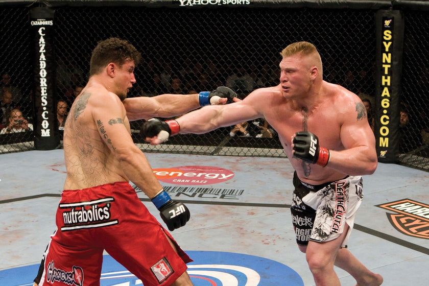 UFC: Ultimate Knockouts 8