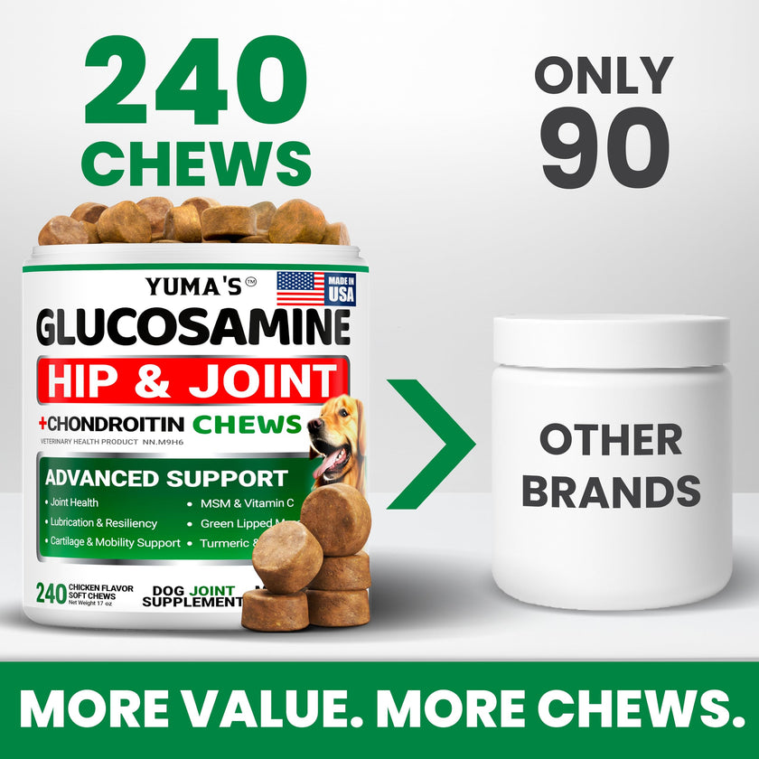 Glucosamine for Dogs - 240 Chews - Hip and Joint Supplement for Dogs with Chondroitin, MSM & Turmeric - Joint Pain Relief for Senior Dogs - All Breeds - Mobility Support - Value Pack - Made in USA 🍁 All In One Marketplace Canada