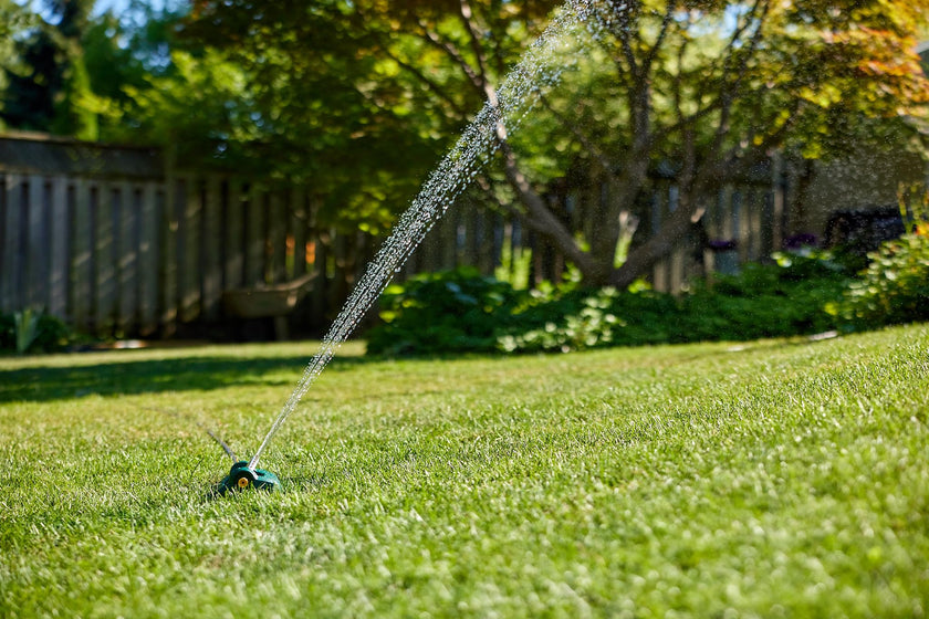 Scotts 20240 Turf Builder Grass Seed Shady Areas Mix 🍁 All In One Marketplace Canada
