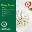Organika Nattokinase 2000 FU Cardiovascular Support – High-Potency, Heart & Blood Circulation Supplement– One Capsule per Day, Non-GMO, Vegan, Gluten-Free – 90vcaps 🍁 All In One Marketplace Canada