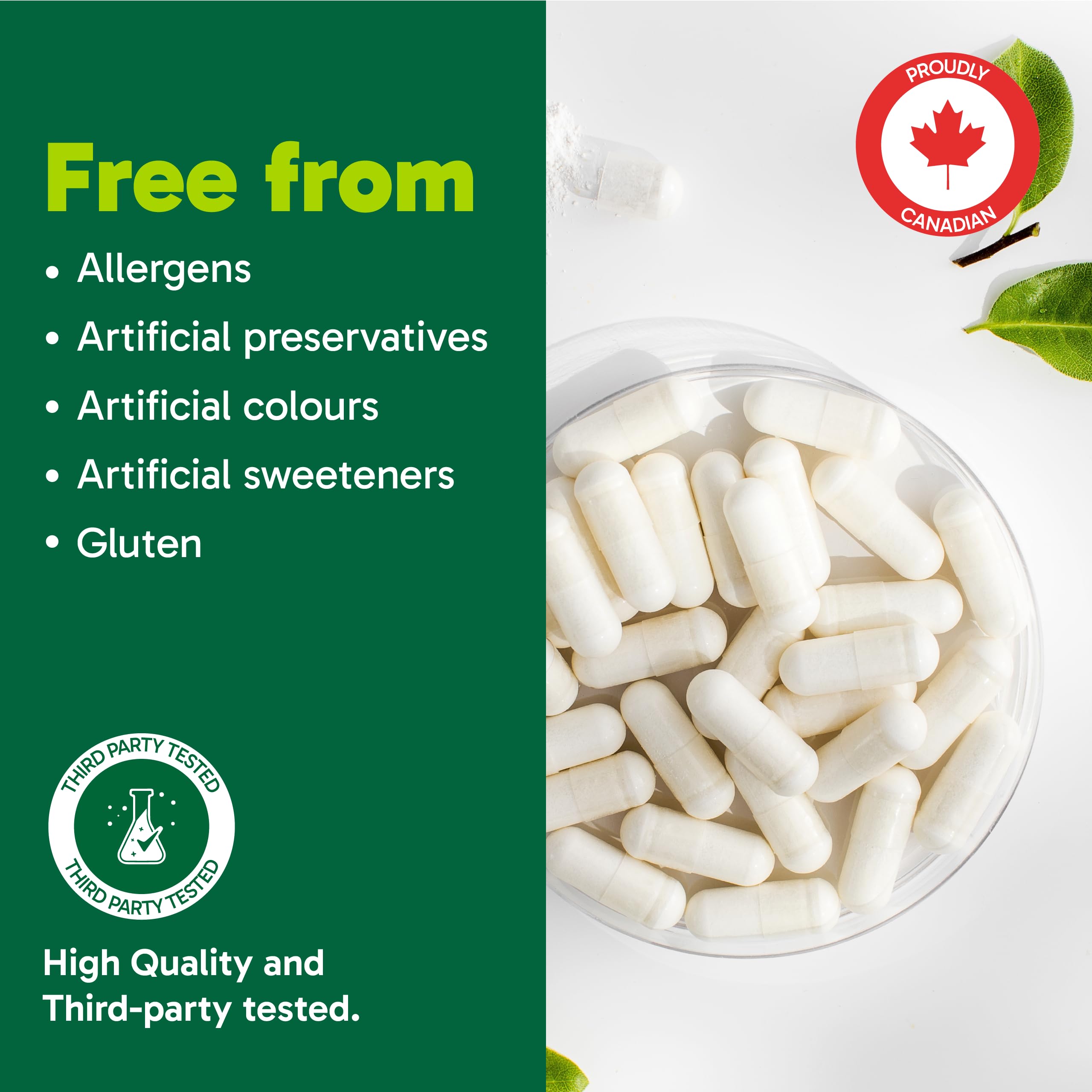 Organika Nattokinase 2000 FU Cardiovascular Support – High-Potency, Heart & Blood Circulation Supplement– One Capsule per Day, Non-GMO, Vegan, Gluten-Free – 90vcaps 🍁 All In One Marketplace Canada