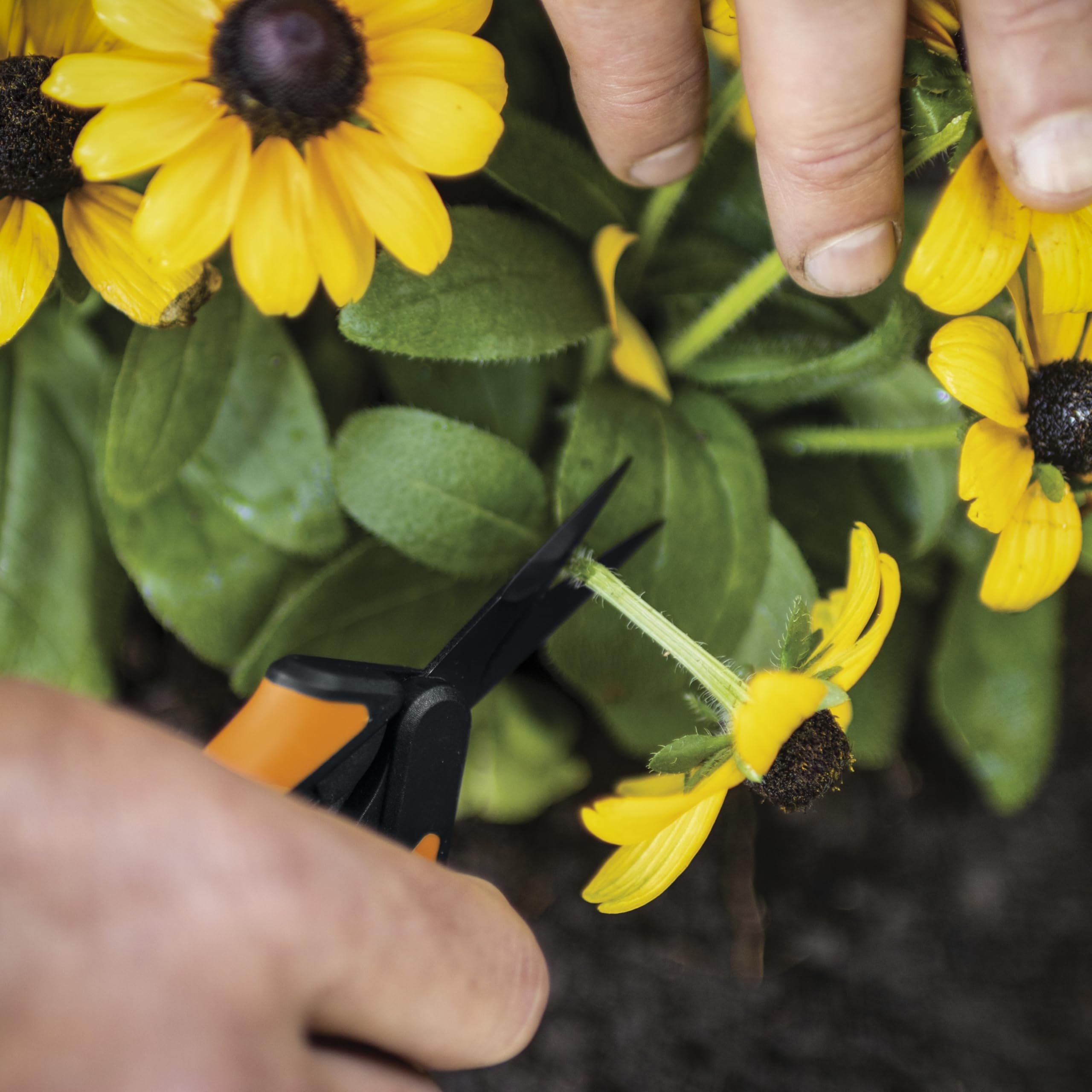 Fiskars Non-Stick Softgrip Micro-Tip Pruning Snip 🍁 All In One Marketplace Canada