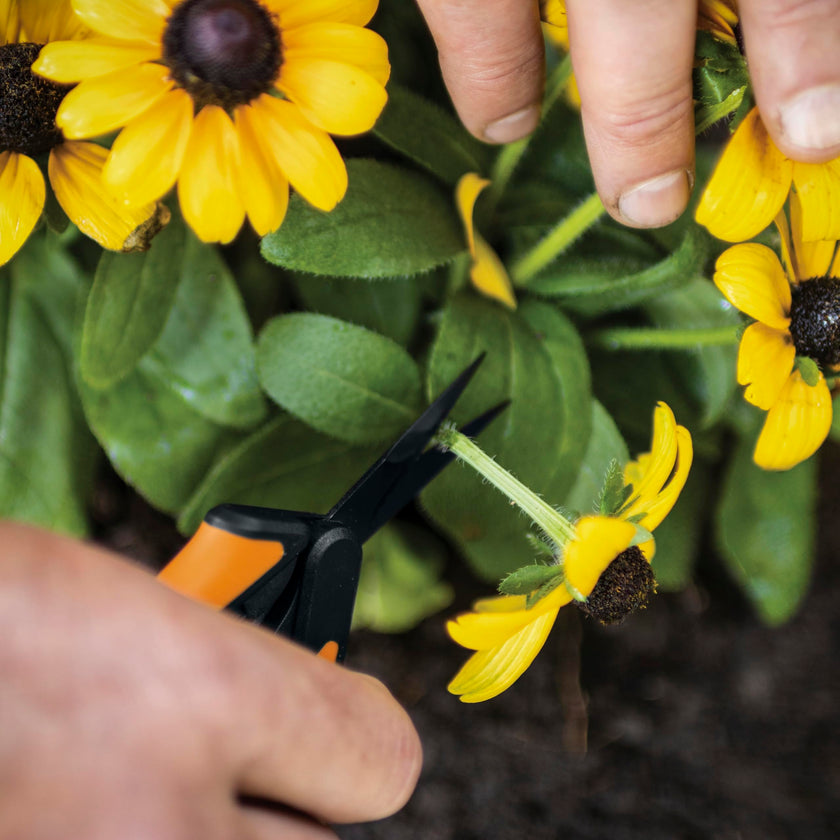 Fiskars Non-Stick Softgrip Micro-Tip Pruning Snip 🍁 All In One Marketplace Canada