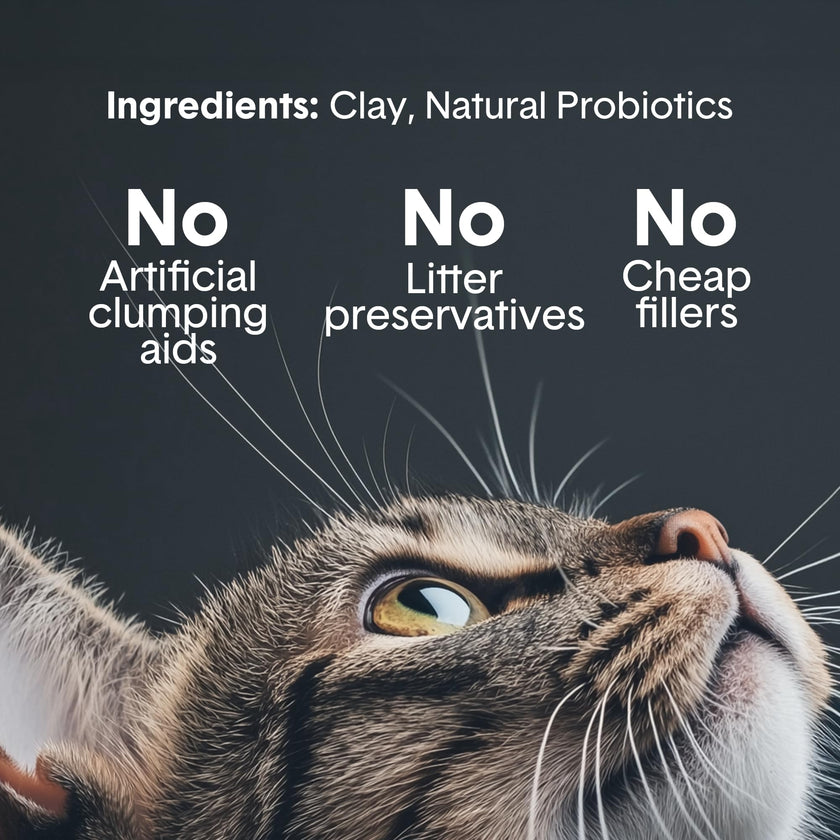 Boxie® Probiotic 40 Day Natural Odor Control Cat Litter, 28lb Clumping Clay Kitty Litter 🍁 All In One Marketplace Canada