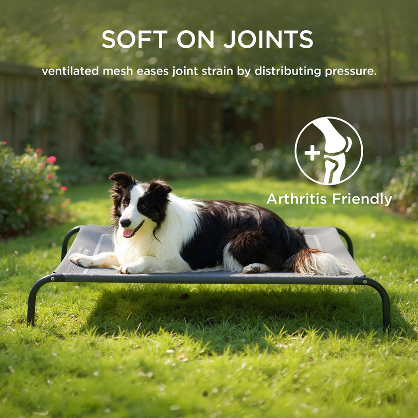 Bedsure Large Elevated Outdoor Dog Bed - Raised Dog Cot for Large Dogs, Portable Outdoor Pet Bed for Camping or Beach, Cooling Summer Frame with Breathable Mesh, Grey, 49 Inches 🍁 All In One Marketplace Canada