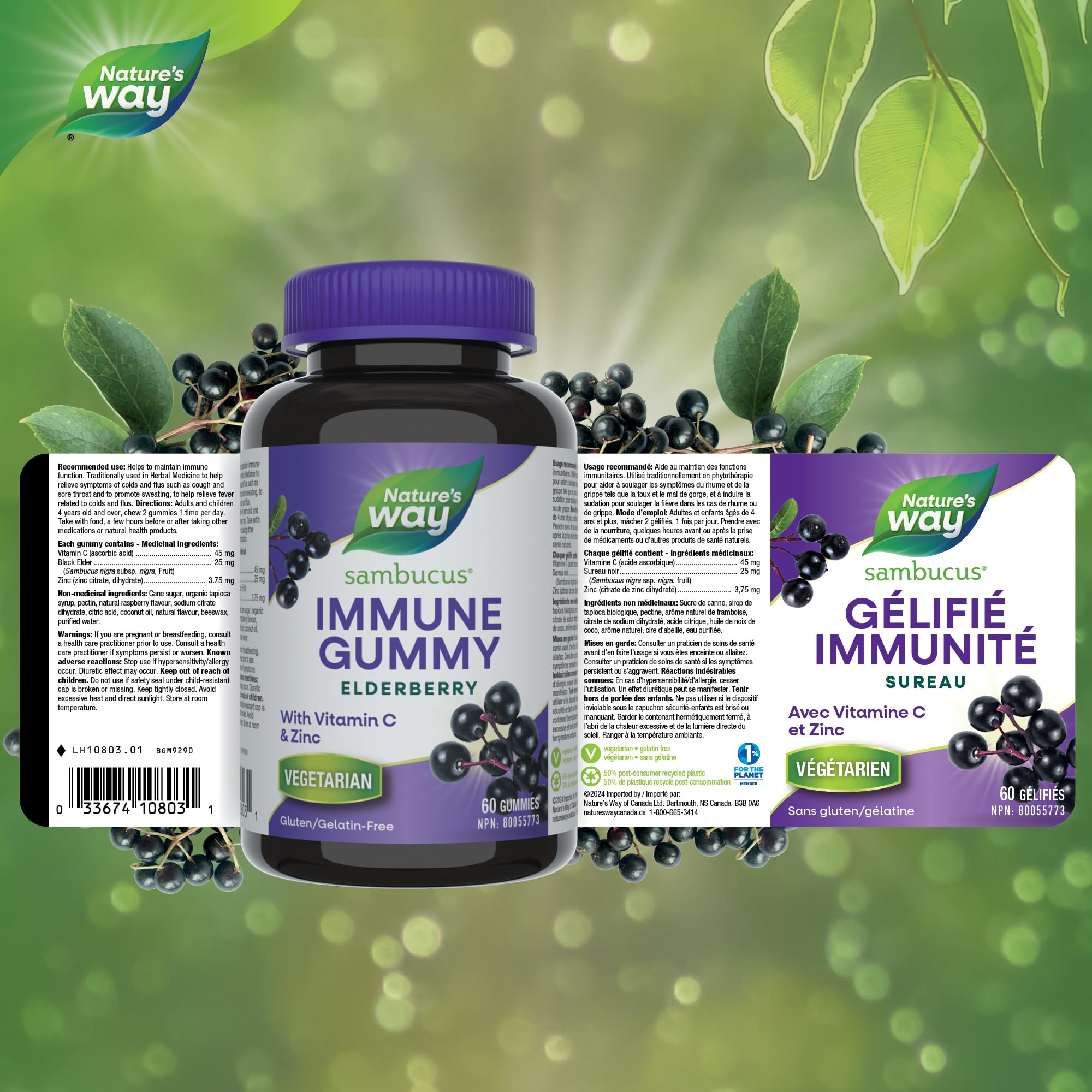 Nature's Way Sambucus Immune Support Gummies – Elderberry with Vitamin C & Zinc – Supports Immune Function and Relieves Cold & Flu Symptoms – Vegetarian, Gluten-Free for Adults & Kids 4+ – 60 Gummies 🍁 All In One Marketplace Canada