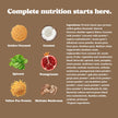 Good Protein Vegan Plant-based Protein Powder 100% Natural, Non-GMO, Dairy-free, Gluten-free, Soy-free, No Added Sugar and Nothing Artificial. Chocolate Fudge All-in-One Shake 880 grams 🍁 All In One Marketplace Canada