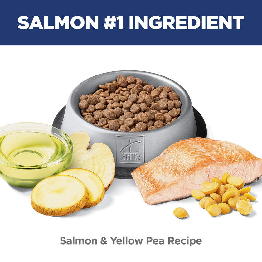 Hill's Science Diet Sensitive Stomach & Skin, Adult 1-6, Stomach & Skin Sensitivity Support, Dry Cat Food, Grain Free Salmon & Yellow Peas, 13 lb Bag 🍁 All In One Marketplace Canada