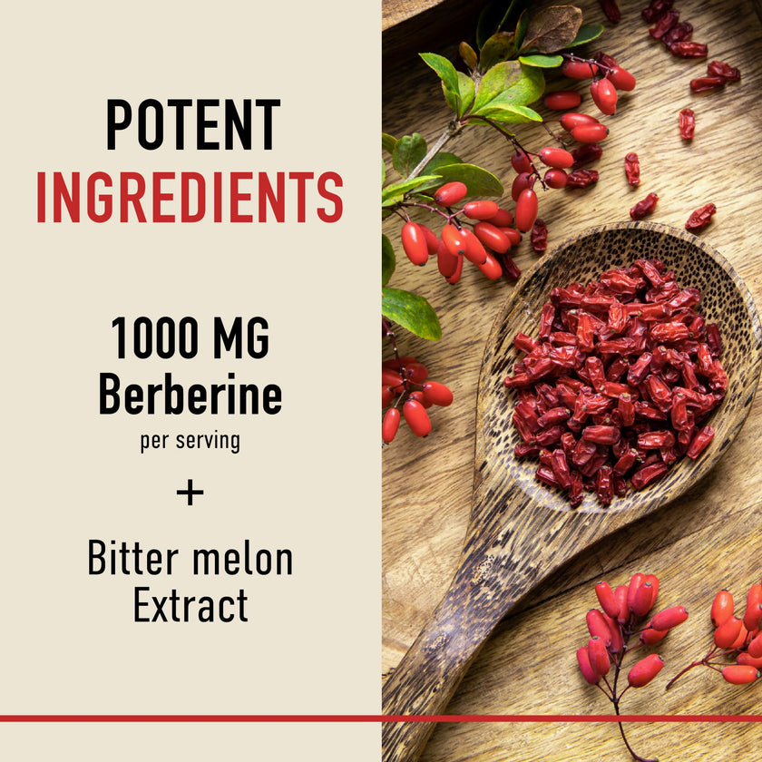 Berberine HCL Supplement | 1000mg | High Potency | Support Glucose Metabolism & Cardiovascular Health | 500mg Per Capsule | With Bitter Melon | Non-GMO, Third-Party Tested | 90 Ct. (45-Day Supply) 🍁 All In One Marketplace Canada