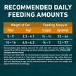 Purina ONE True Instinct Grain Free Dry Cat Food, High Protein Chicken - 6.53 kg Bag 🍁 All In One Marketplace Canada