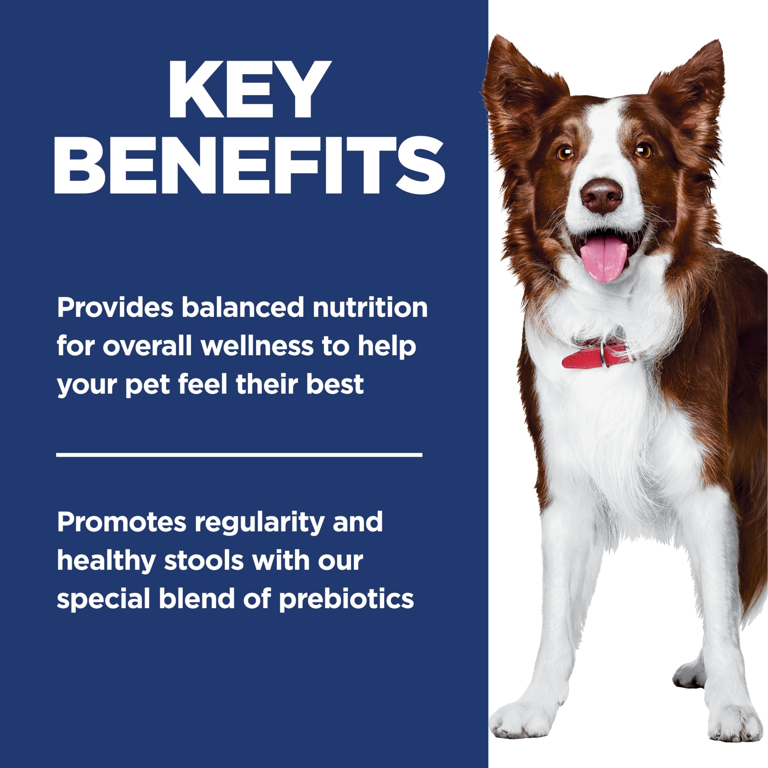 Hill's Science Diet Adult Perfect Digestion Salmon, Whole Oats & Brown Rice Recipe Dry Dog Food 10.0 kg Bag 🍁 All In One Marketplace Canada