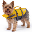 Outward Hound Granby Splash Dog Life Jacket with Handle, Reflective Floating Vest for Swimming & Boating, Maximum Buoyancy, All Skill Levels, Extra-Small Dogs & Puppies (11–15