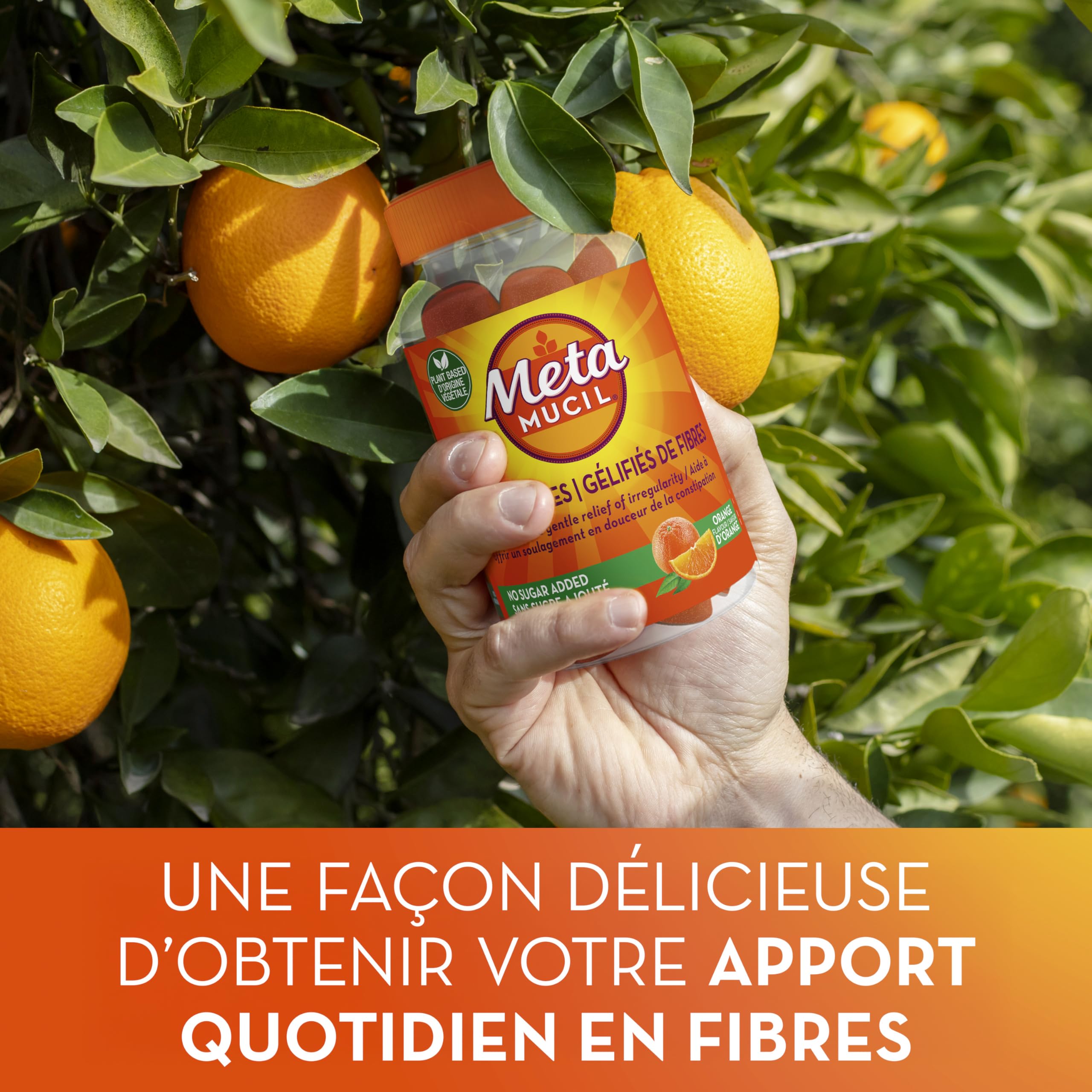 Metamucil Fibre Gummies, No Sugar Added, Orange Flavour, Prebiotic, Plant-Based, 105 Count 🍁 All In One Marketplace Canada