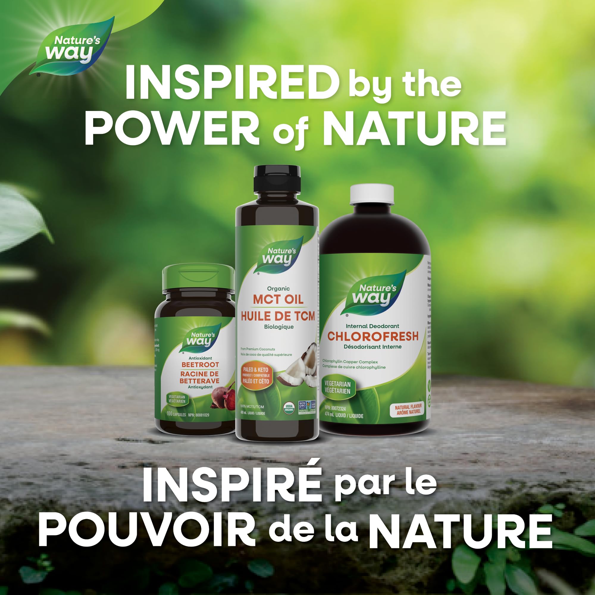 Nature's Way 100% Pure MCT Oil – Organic Coconut-Derived Medium Chain Triglycerides – No Palm or Filler Oils – Keto & Paleo Friendly – Non-GMO, Vegetarian, Gluten-Free, Flavourless – 480 mL 🍁 All In One Marketplace Canada