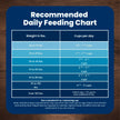 Blue Buffalo Life Protection Formula Chicken & Brown Rice Adult Dry Dog Food, Supports Immunity with Antioxidant-Rich LifeSource Bits, Promotes Healthy Muscle Development, 2.7kg/6lbs 🍁 All In One Marketplace Canada