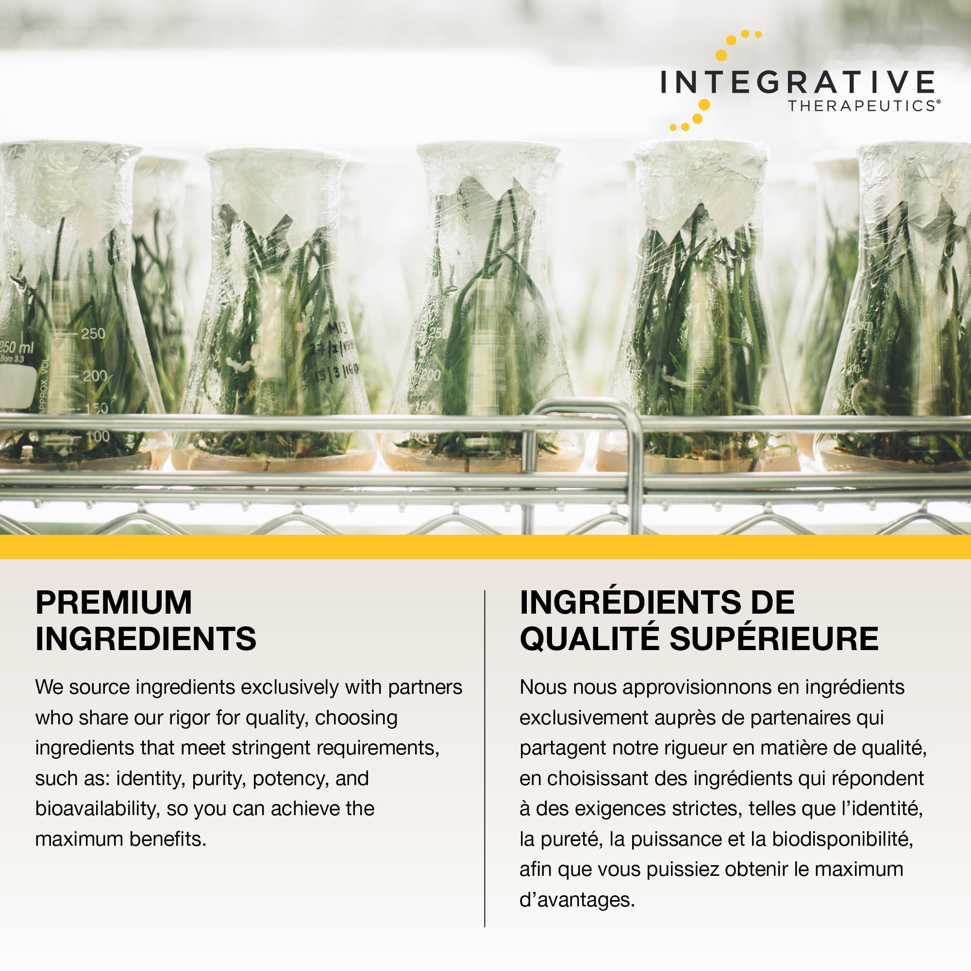 Integrative Therapeutics Zinc Carnosine – Premium Zinc Supplement – 75mg of Zinc Carnosine – Factor in the Maintenance of Good Health - PepZin GI – 60 Capsules 🍁 All In One Marketplace Canada