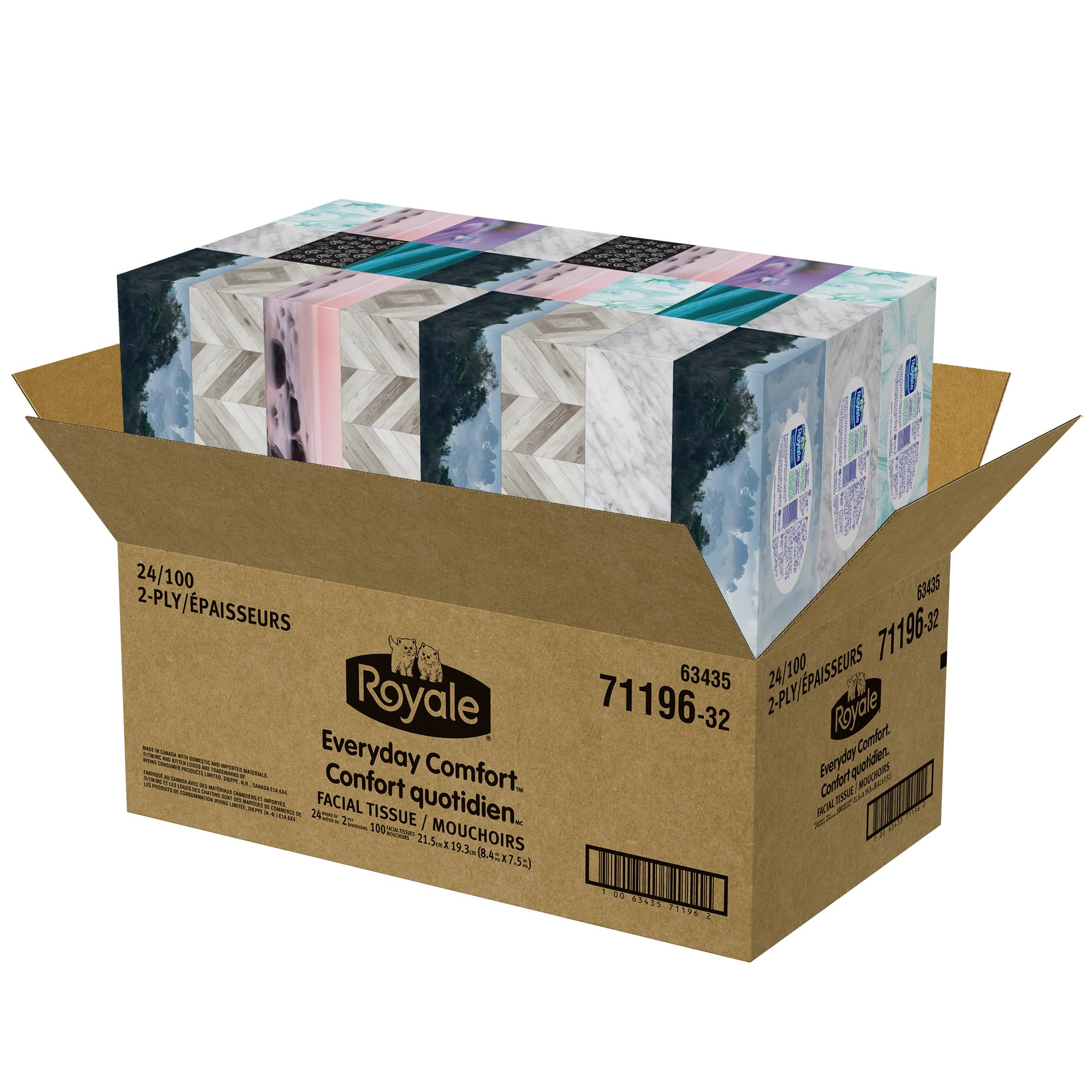 Royale Everyday Comfort 2 Ply Facial Tissue, 24 Tissue Boxes, 100 Tissues per Box 🍁 All In One Marketplace Canada