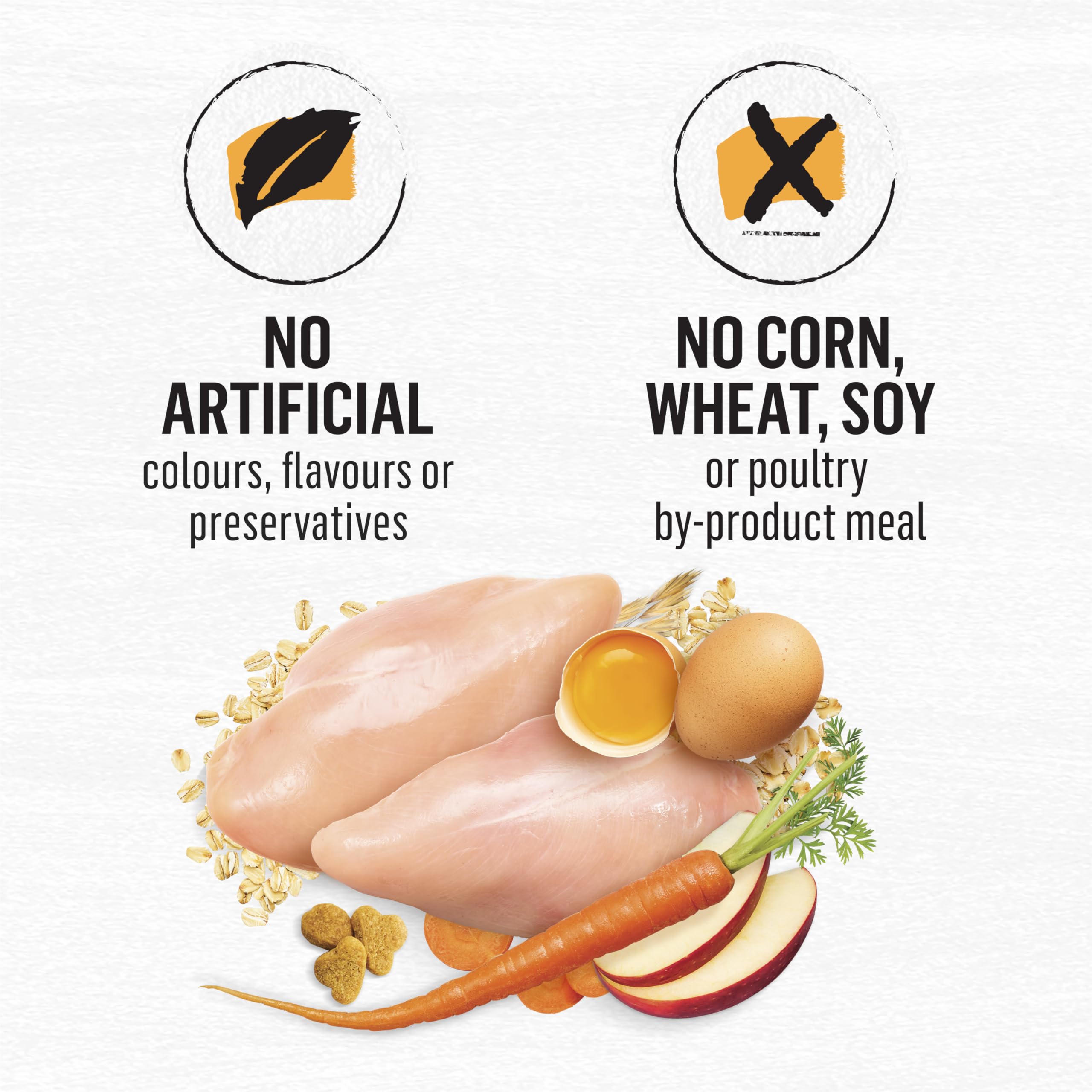 Beyond Dry Cat Food, Chicken & Whole Oatmeal 5.89kg 🍁 All In One Marketplace Canada